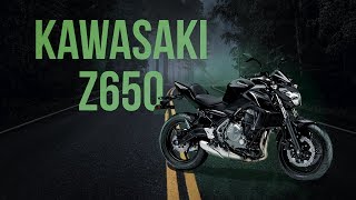 Conheça a nova Kawasaki Z650 Testdrive  SeminovosBH 85 [upl. by Sivla895]