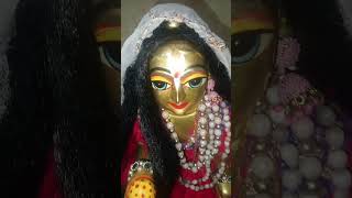 Phoolon mein saj rahe hai Shri Vrindavan Bihari love nandgopallover [upl. by Orton]