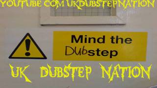 Modestep  Sunlight Dubstep [upl. by Tabbie394]