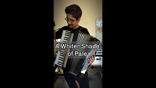 A Whiter Shade of Pale Procul Harum Accordion Instrumental  Cover [upl. by Arihaj]