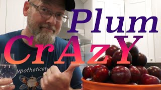 How to Make Croatian PLUM BRANDYRAKIASLIVOVITZ [upl. by Aelhsa]