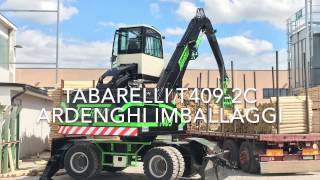 Caricatore Tabarelli T4092C Timber handling [upl. by Anneres964]