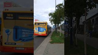 Odjazd merola Conecto B6 9816 mobilis 167➡️SiekierkiSanktuarium trasa zmieniona [upl. by Riehl]