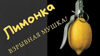 Нахлыст и вязание мушек с Данилычем  Мушка лимонка [upl. by Jenkins876]