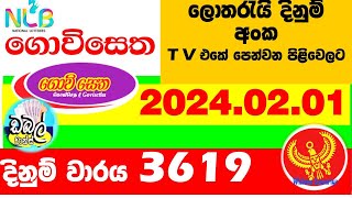 Govisetha 3619 20240201 lottery results Lottery Results Lotherai dinum anka 3619 NLB Lotte [upl. by Eerok]