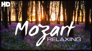 The Best Relaxing Classical Music Ever By Mozart  Relaxation Meditation Reading Focus [upl. by Radmilla]