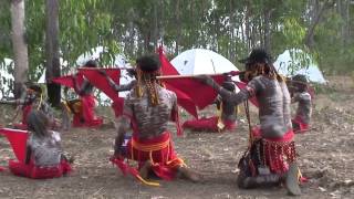 Red Flag Dancers at Garma Festival2009 [upl. by Melas]