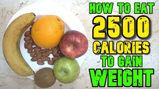 How To Eat 2500 Calories A Day To Gain Weight [upl. by Raphaela609]