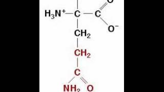 The Amino Acid Song original song [upl. by Chlori]