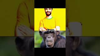 Brasileiro VS Chimpanzé [upl. by Nolak]