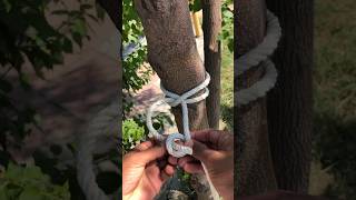 New Knot Trick knot survivalknots survivalskills loopknot [upl. by Dahsraf]