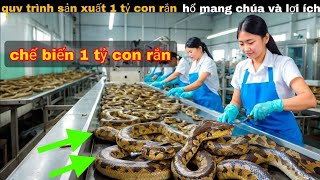 Quy Trình Sản Xuất Chế Biến 1 Tỷ Con Rắn Hổ Mang Cực Thú Vị  review giải trí [upl. by Wymore]