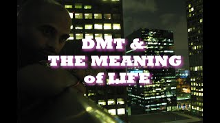 DMT amp The Meaning of Life [upl. by Aiceila]