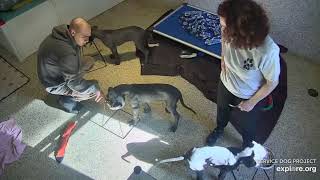 Ice Blues Brothers Elwood Jake n Piper brekkies ChrisE DonnaC 4172024 exploreorg [upl. by Forsyth560]