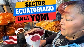 🇪🇨 El SECTOR ECUATORIANO en la calle larga de los LATINOS ❤️🇺🇸 Josué y Elie [upl. by Orms201]