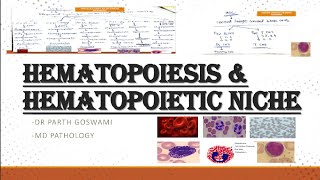 Hematopoiesis amp Hematopoietic Niche  Images  Master Charts  Made Easy [upl. by Yrocal]