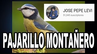 TE DIGO COMO TOCAR PAJARILLO MONTAÑERO DE RIGO TOVAR Y COSTA AZUL VOL 2 [upl. by Narmak673]