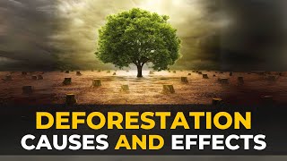 Deforestation  Causes Effects and Solutions  The Planet Voice [upl. by Manya]