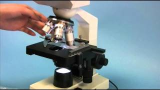 OMAX M82ES 40X2000X Compound Microscope  Installation amp Operation Instruction [upl. by Htebsil368]