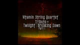 Sister Rosetta  Vitamin String Quartet Tribute to The Noisettes [upl. by Haye]