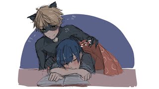 An Open Window  A Miraculous Ladybug Fanfiction [upl. by Alletniuq]