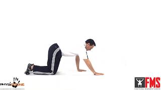 Functional Movement Screen  6 Trunk Stability Push Up [upl. by Anuahsal]