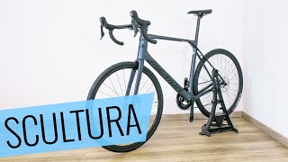 Das MERIDA SCULTURA ENDURANCE 5000 20222023 im Review  Fahrradorg [upl. by Delos]