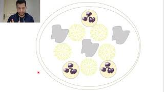 28Actinomyces israelii [upl. by Clabo]