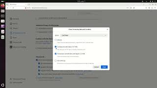 Firefox browser clear cached files [upl. by Enoed]