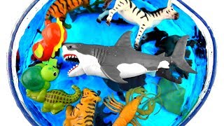 Learn Sea Animal Names and Zoo Animals Names Education Video For Children [upl. by Mariande]