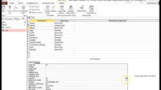 Access Required Field [upl. by Anneehs]