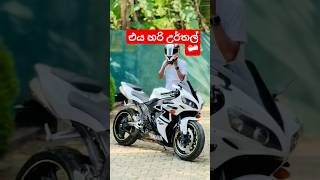 තමන්ගෙ සල්ලිවලින් ගත්තම තියෙන ගැම්ම 🥰 automobile r1 r7 slbikes ytshort bikelover srilanka sl [upl. by Hsetirp822]