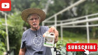 Garden emergency  bugs [upl. by Hampton]