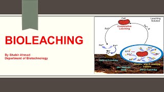 Bioleaching Process [upl. by Ellehciram655]