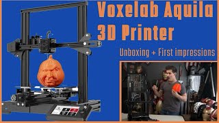 Voxelab Aquila 3D Printer  Quick Review  The Ender3 Killer [upl. by Llenehc]