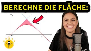 Mathe ABITUR Analysis – Aufgabe Integralrechnung [upl. by Eedyaj417]