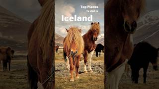 Top Place To Visit in Iceland ❄️🏔️ shorts travel iceland [upl. by Eduino]