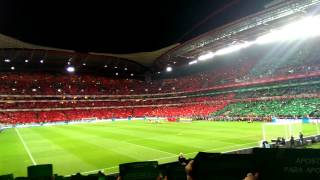 Portugal x Suécia  Hino de Portugal  Estádio da Luz 151113 [upl. by Chapman]