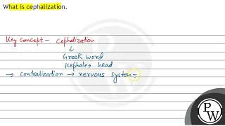 What is cephalization [upl. by Ellevehs]