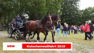 Pferdekutsche und Pferd  Kutschenwallfahrt 2019 [upl. by Alejoa508]