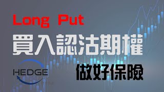 對沖王道｜第十二集｜期權基礎知識懶人包｜買入認沽期權｜Long Put的權利 [upl. by Richia]