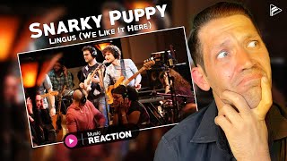 Snarky Puppy  Lingus We Like It Here Reaction [upl. by Harwill]