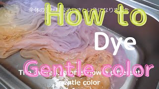 How to dye gentle color やさしい色に染める方法 [upl. by Willard]