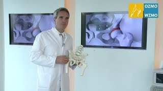 Prof Dr Diehl LabrumKnorpelschaden Hüftgelenk amp minimalinvasive Versorgung [upl. by Farlee]