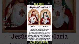 Sagrados Corazones de Jesús y María en Vos confiamos 🙏✨️❤️‍🔥❤️‍🔥❤️‍🔥🕊🔥🌿 [upl. by Ilenay385]