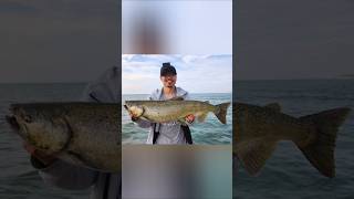 Salmon Fishing from Shore Lake Ontario [upl. by Eeram]