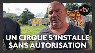 Un cirque et ses animaux sauvages sinstalle sans autorisation en ville [upl. by Lorusso]