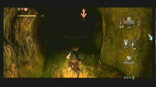 Legend of Zelda Twilight Princess Walkthrough 01 46 quotOrdon Village Talo amp The Monkeyquot [upl. by Emmit]