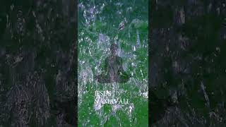 NAMAVALI1SHORT JESUS  HOLY MASS SONGS CHRISTIAN [upl. by Celeski]