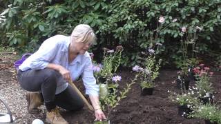 How to plant a herbaceous border [upl. by Atnuahsal]